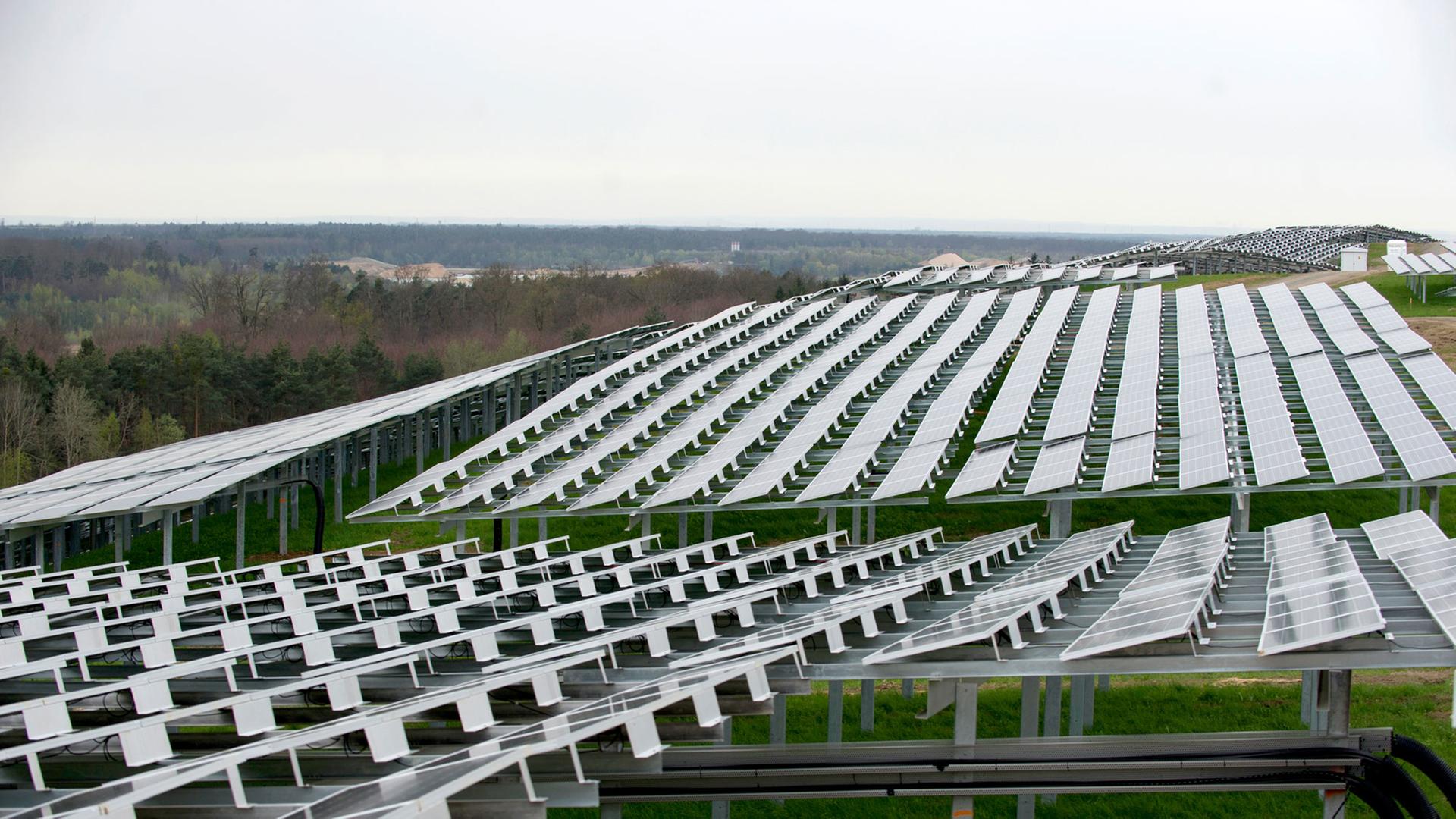 Solar-Module in Dreieich-Buchschlag - der größte Solarpark Hessens. Solar-Module in Dreieich-Buchschlag - der größte Solarpark Hessens.