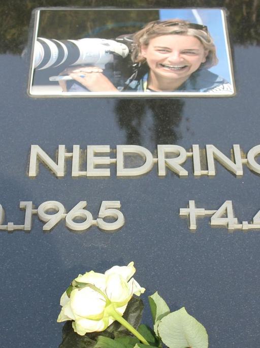Eine weiße Rose liegt am 03.04.2016 in Höxter (Nordrhein-Westfalen) auf dem Grab der Fotojournalistin Anja Niedringhaus. Die Grabstelle ist mit einem QR-Code versehen, sodass man sich per Smartphone oder Pad über die ermordete Fotografin informieren kann.