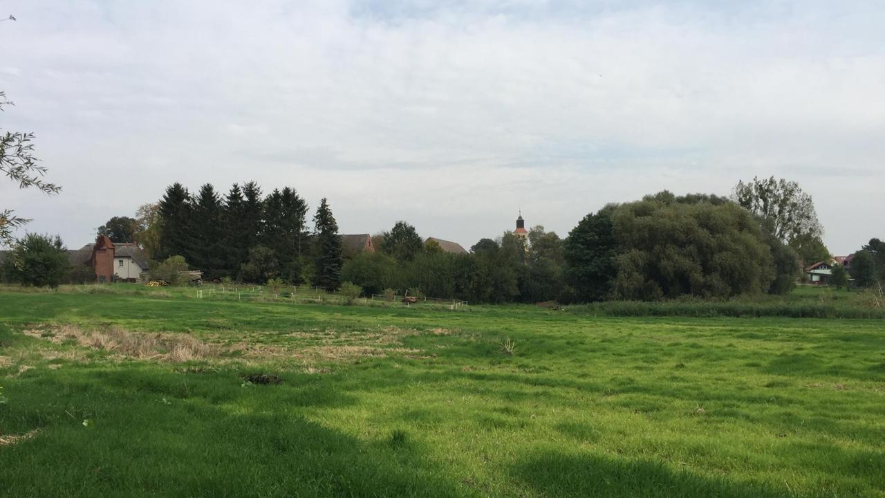 Blick vom Ortsrand auf Biesenbrow Blick vom Ortsrand auf Biesenbrow