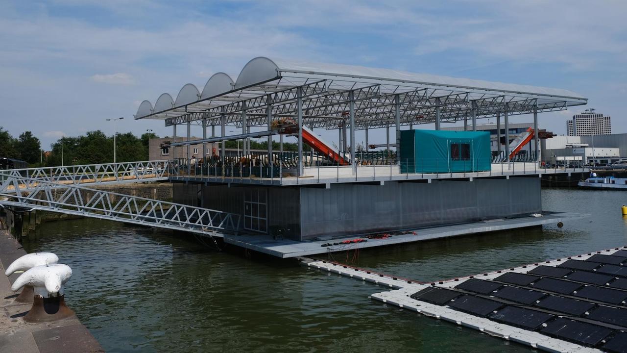 Blick auf die schwimmende Rinderfarm im Hafen von Rotterdam Blick auf die schwimmende Rinderfarm im Hafen von Rotterdam