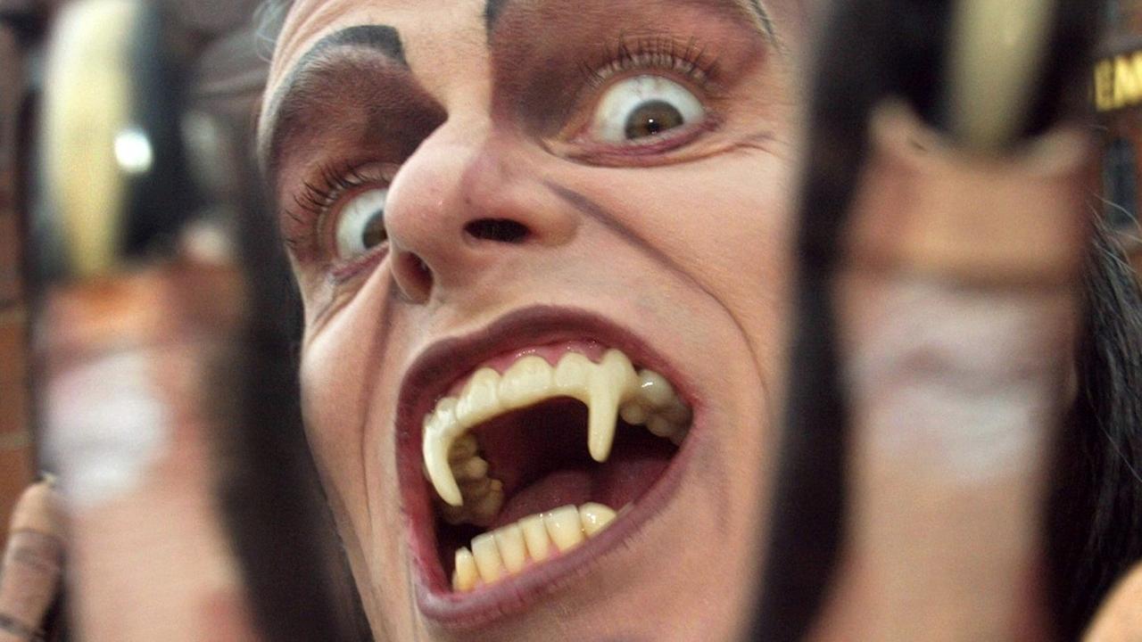 Der Hauptdarsteller des Musicals "Tanz der Vampire", Felix Martin, posiert in Hamburg. Der Hauptdarsteller des Musicals "Tanz der Vampire", Felix Martin, posiert in Hamburg.