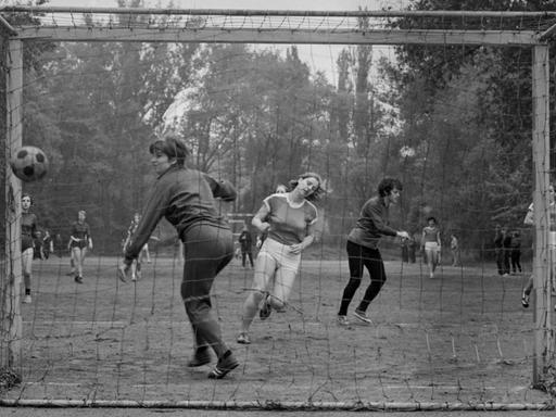 Ansicht eines Fußballplatzes mit einer Frauenmannschaft in Aktion.