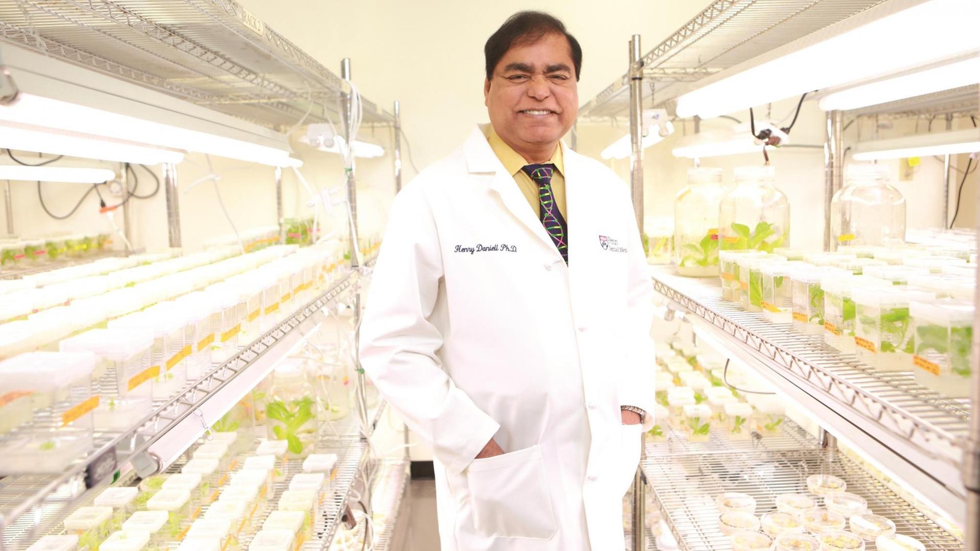 Der Biochemiker Prof. Henry Daniell hat Nahrungspflanzen genetisch so verändert, dass sie medizinische Wirkstoffe produzieren. Der Biochemiker Prof. Henry Daniell hat Nahrungspflanzen genetisch so verändert, dass sie medizinische Wirkstoffe produzieren.