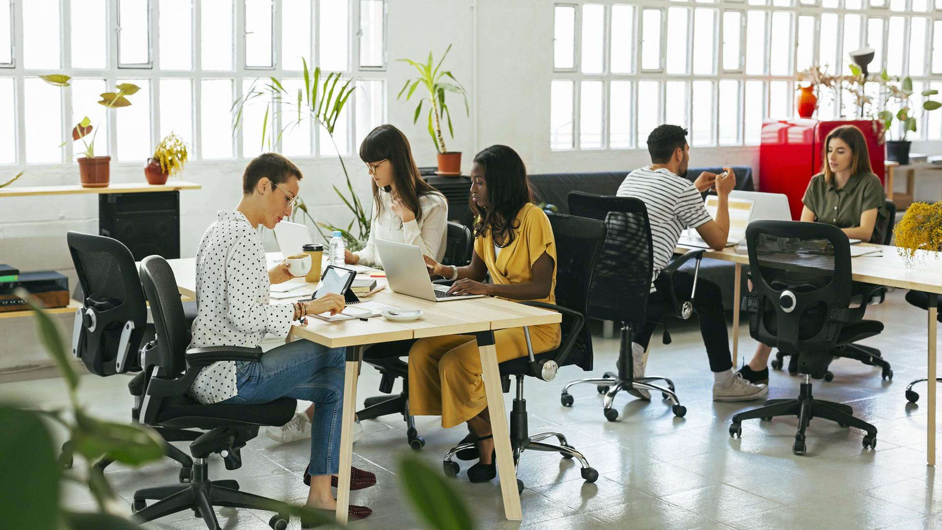 Meschen sitzen in einem loftartigen Büro mit Planzen an ihren Arbeitsplätzen. Meschen sitzen in einem loftartigen Büro mit Planzen an ihren Arbeitsplätzen.