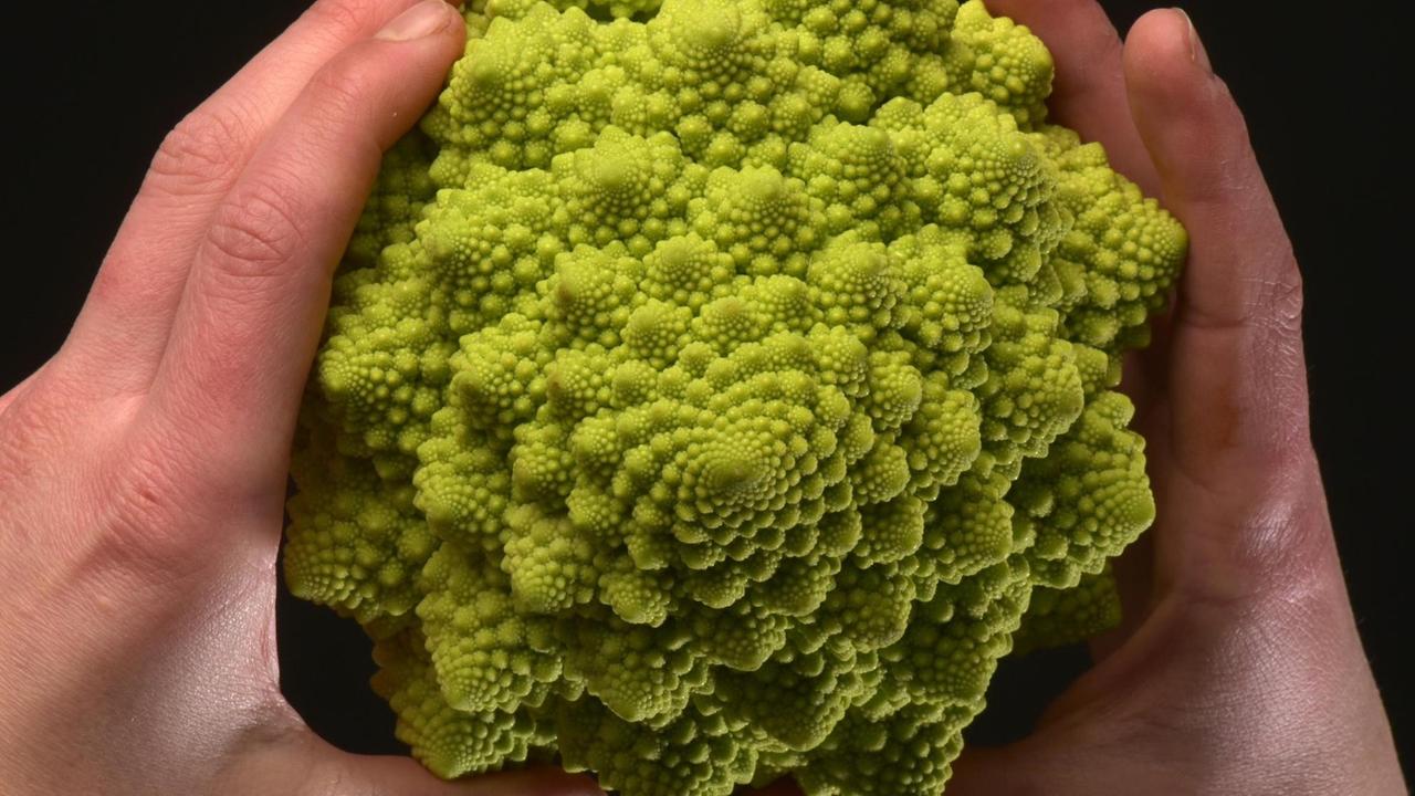 Aufsicht auf einen Romanesco. Aufsicht auf einen Romanesco.