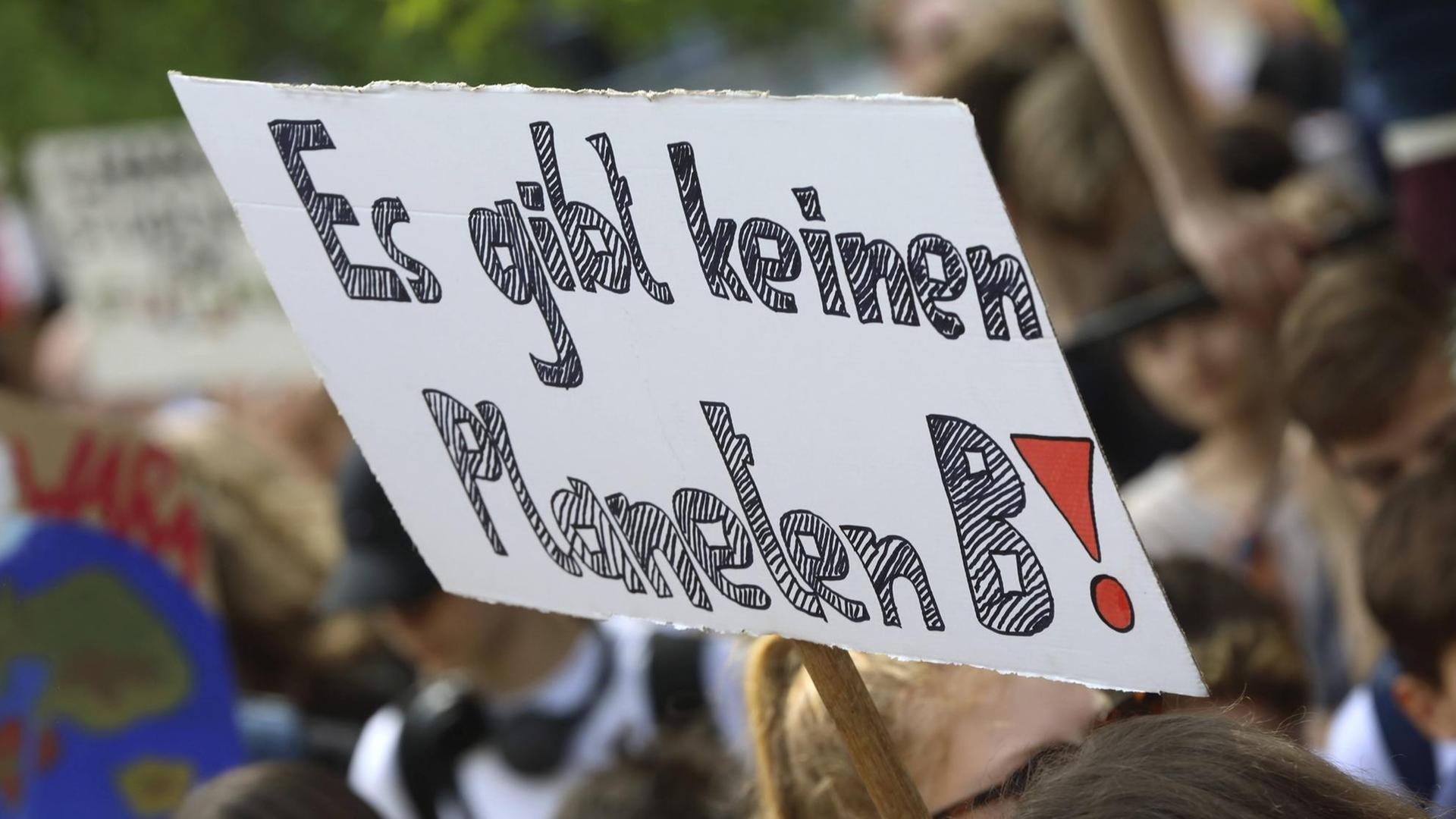 Auf einer Friday-for-Future-Demo in Berlin wird ein Schild hochgehalten, auf dem "Es gibt keinen Planeten B" steht.