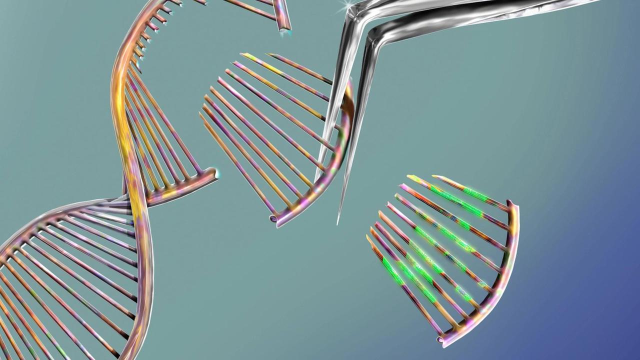 Eine computerbasierte Darstellung der Genschere Crispr. Eine computerbasierte Darstellung der Genschere Crispr.