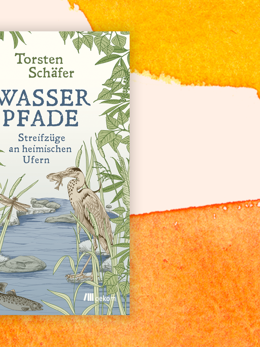 Zu sehen ist das Cover des Buches "Wasserpfade" von Torsten Schäfer.