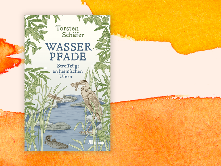 Zu sehen ist das Cover des Buches "Wasserpfade" von Torsten Schäfer.