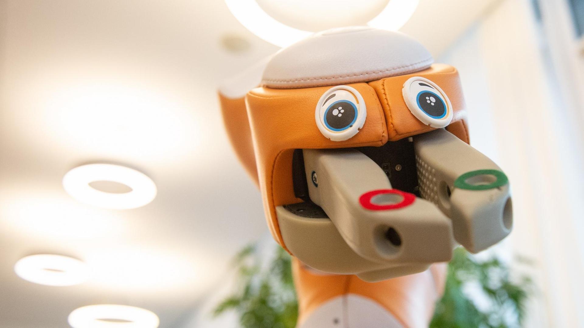 Ein Pflegeroboter mit orangenem Kopf, aufgeklebten Augen und Greifarmen anstelle von Nase und Mund.