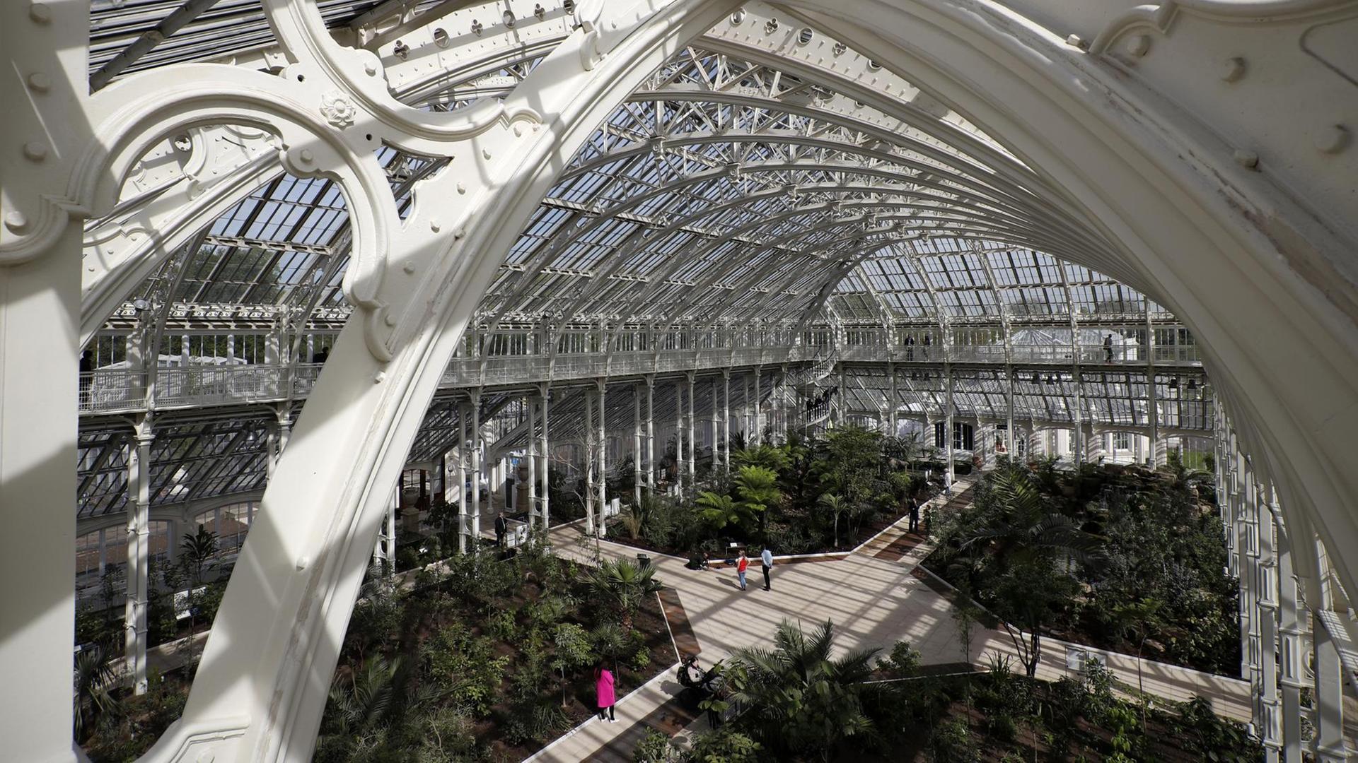 Innenansicht des von 1859 bis 1863 erbauten "Temperate House" in den Kew Gardens London. Das weltweit größte viktorianische Gewächshaus wird nach fünf Jahren Renovierung neu eröffnet. Innenansicht des von 1859 bis 1863 erbauten "Temperate House" in den Kew Gardens London. Das weltweit größte viktorianische Gewächshaus wird nach fünf Jahren Renovierung neu eröffnet.