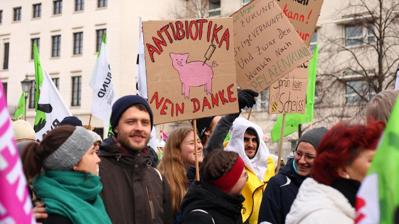 Berlin: Ein Schild mit der Ausfschrift "Antibiotika Nein Danke" und dem Bild eines Schweins wird bei einer Demonstration gegen die Agrarindustrie hochgehalten.
