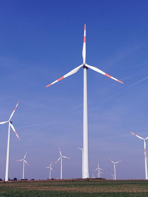 Eine Windkraftanlage in Alsleben in Sachsen-Anhalt