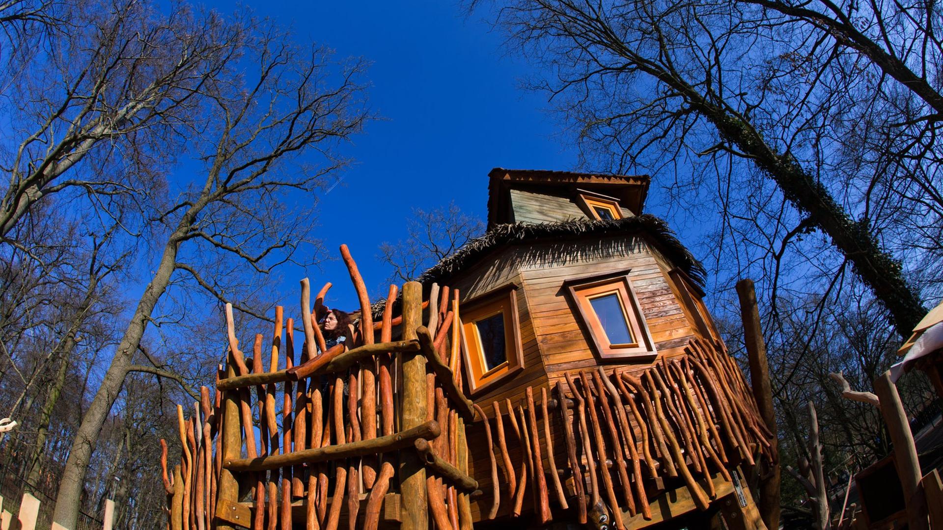 Ein Baumhaus im Stil einer historischen Forscherhütte des Südamerika-Reisenden Alexander von Humboldt (1769-1859) ist am 12.03.2014 im Zoo von Schwerin (Mecklenburg-Vorpommern) zu sehen. Ein Baumhaus im Stil einer historischen Forscherhütte des Südamerika-Reisenden Alexander von Humboldt (1769-1859) ist am 12.03.2014 im Zoo von Schwerin (Mecklenburg-Vorpommern) zu sehen.