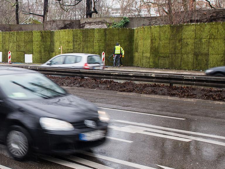 Autos fahren am 09.03.2017 in Stuttgart an der halb-fertiggestellten Mooswand aus grauem Zackenmützenmoos entlang. Sie soll in einem Pilotprojekt gegen die Feinstaubbelastung die Schadstoffe binden.