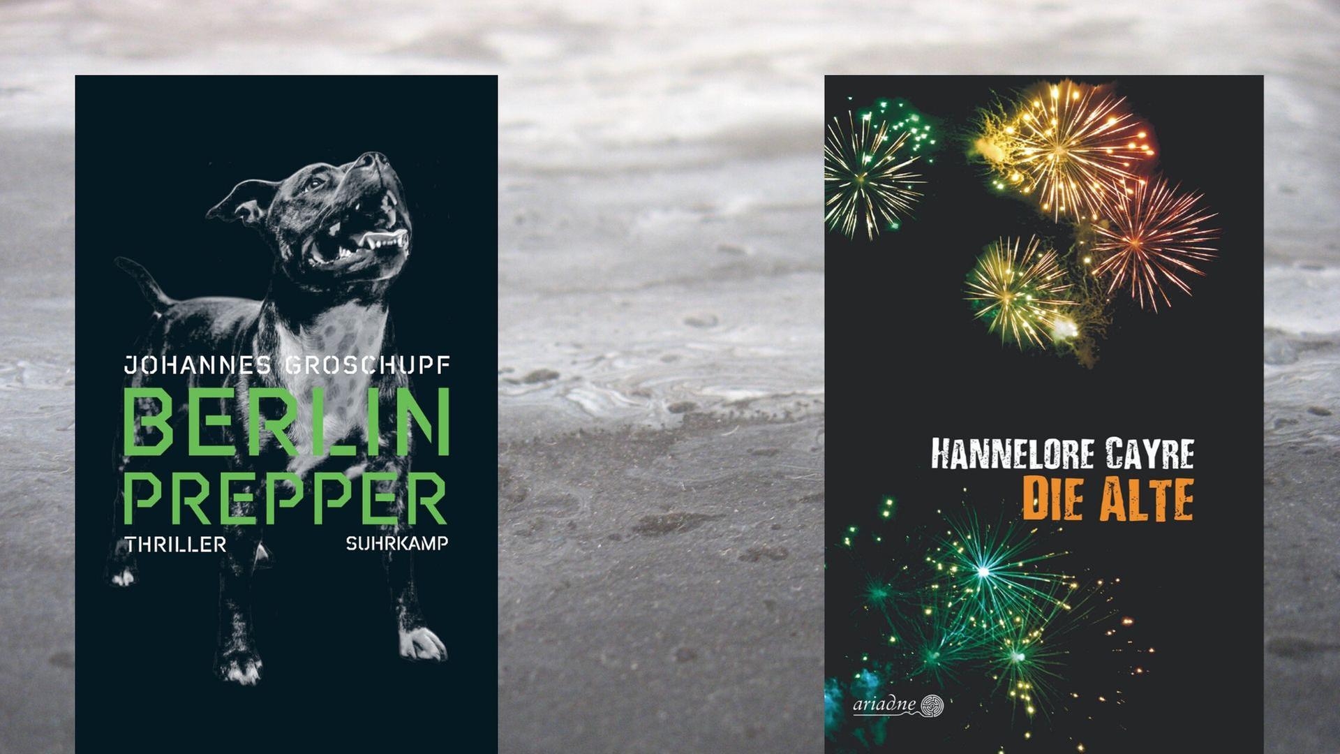 Buchcover(l.): Johannes Groschupf: "Berlin Prepper", Buchcover(r.): Hannelore Cayre: "Die Alte" Buchcover(l.): Johannes Groschupf: "Berlin Prepper", Buchcover(r.): Hannelore Cayre: "Die Alte"