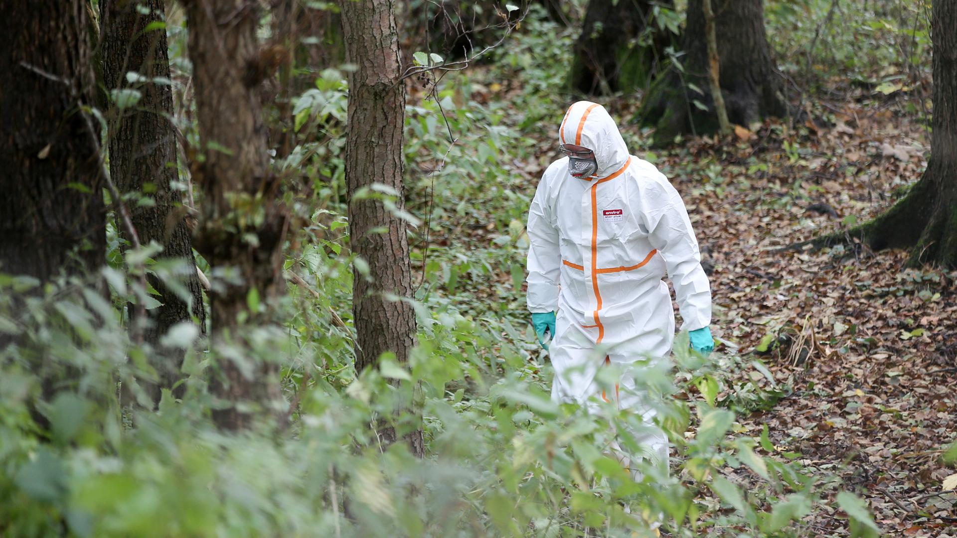 Ein Mitarbeiter einer von der Hamburger Umweltbehörde beauftragten Spezialfirma nimmt in einen Schutzanzug gekleidet Proben im Naturschutzgebiet Boberger Niederung. Ein Mitarbeiter einer von der Hamburger Umweltbehörde beauftragten Spezialfirma nimmt in einen Schutzanzug gekleidet Proben im Naturschutzgebiet Boberger Niederung.