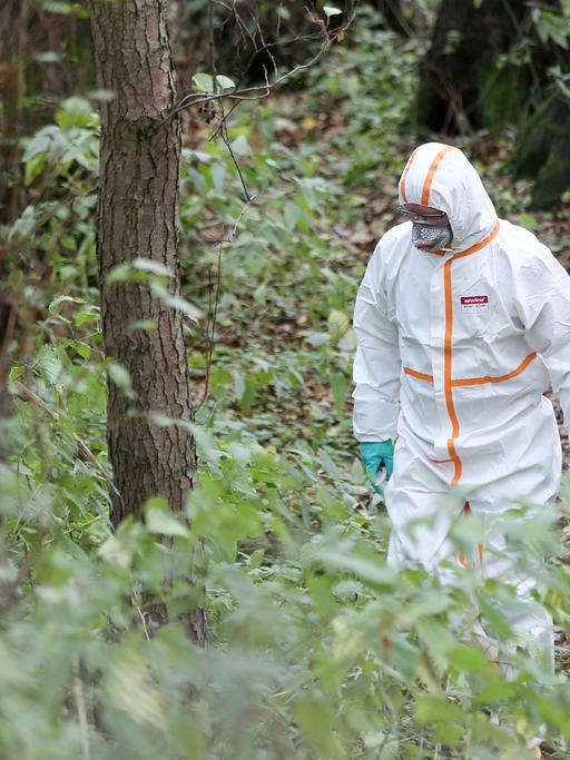 Ein Mitarbeiter einer von der Hamburger Umweltbehörde beauftragten Spezialfirma nimmt in einen Schutzanzug gekleidet Proben im Naturschutzgebiet Boberger Niederung.