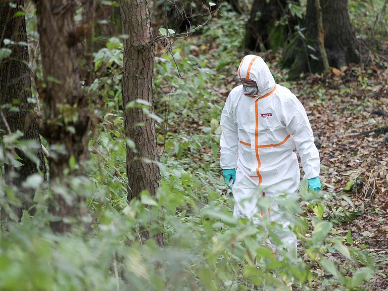 Ein Mitarbeiter einer von der Hamburger Umweltbehörde beauftragten Spezialfirma nimmt in einen Schutzanzug gekleidet Proben im Naturschutzgebiet Boberger Niederung.