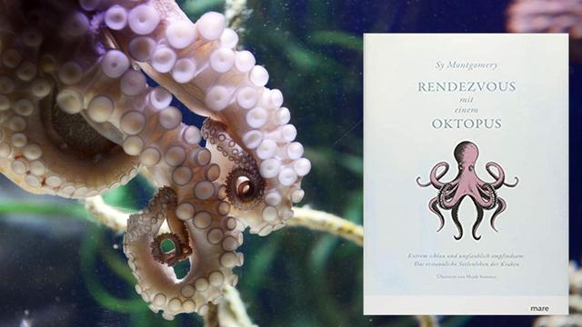 Buchcover "Rendevous mit einem Oktopus" und Oktopus