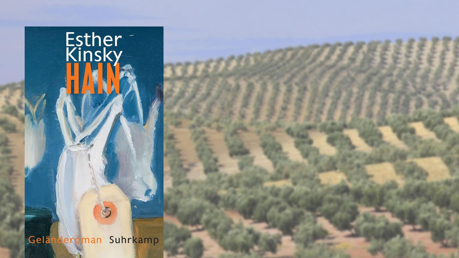 Buchcover "Hain" von Esther Kinsky, im Hintergrund Olivenbäume Buchcover "Hain" von Esther Kinsky, im Hintergrund Olivenbäume