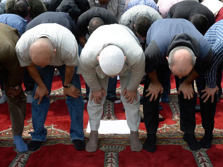 Betende Muslime vor dem Innenministerium in Tschechien - aus Protest gegen eine Polizei-Razzia in einem islamischen Zentrum.