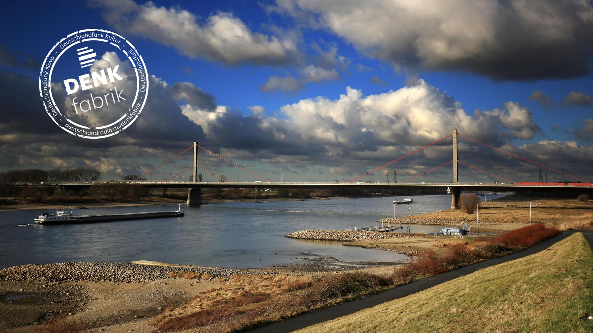 Die Leverkusener Brücke über den Rhein, vom Ufer aus fotografiert Die Leverkusener Brücke über den Rhein, vom Ufer aus fotografiert