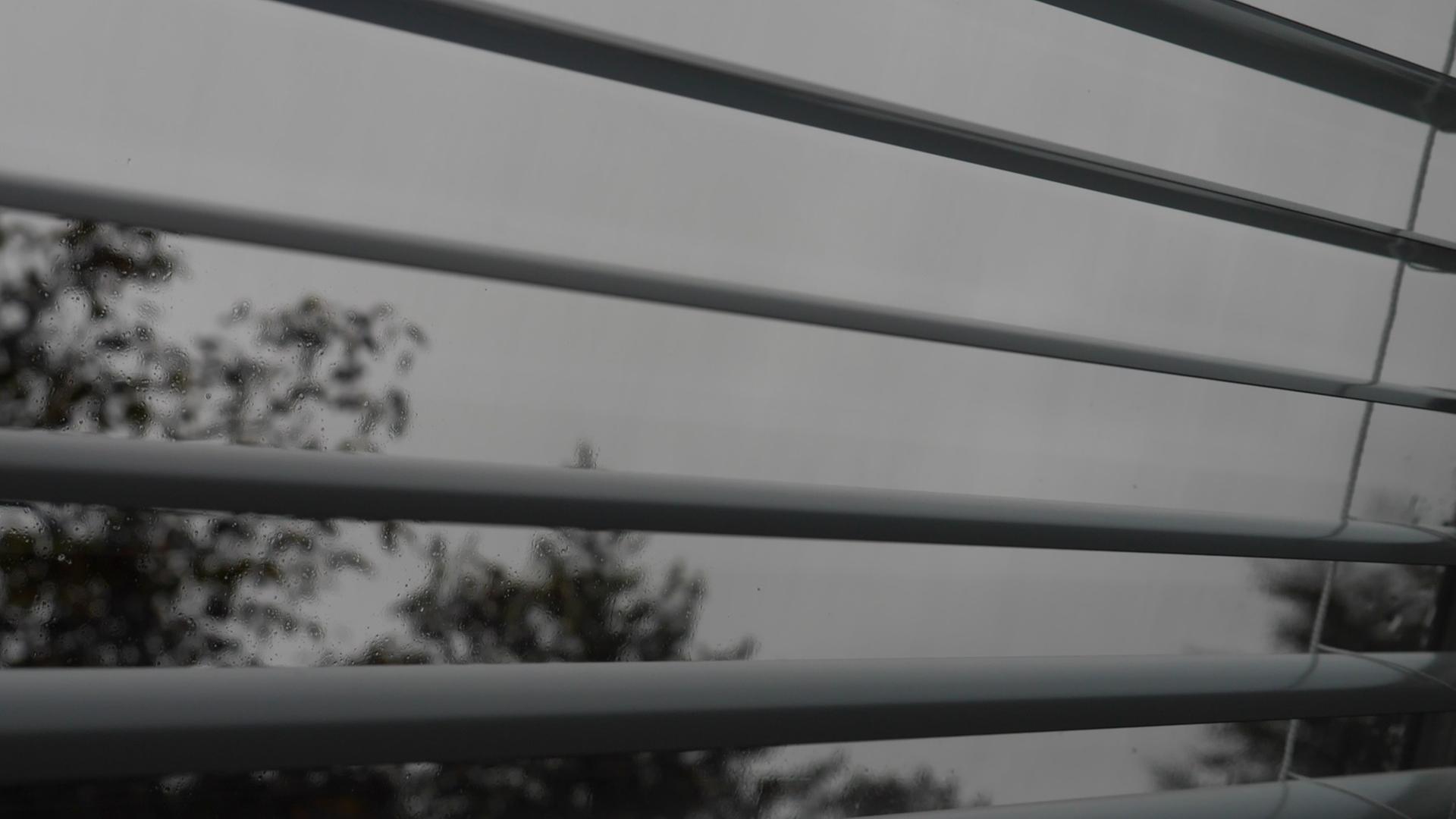 Blick nach draußen durch eine Jalousie am Fenster. Blick nach draußen durch eine Jalousie am Fenster.