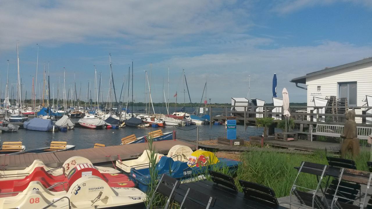 Yachthafen am Cospudener See Yachthafen am Cospudener See