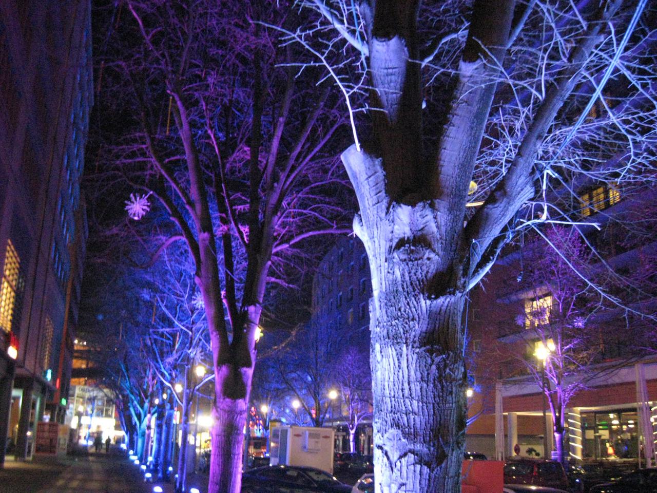 Die Alte Potsdamer Straße führt zum Berlinale-Palast und ist in blaues Licht getaucht. Die Alte Potsdamer Straße führt zum Berlinale-Palast und ist in blaues Licht getaucht.
