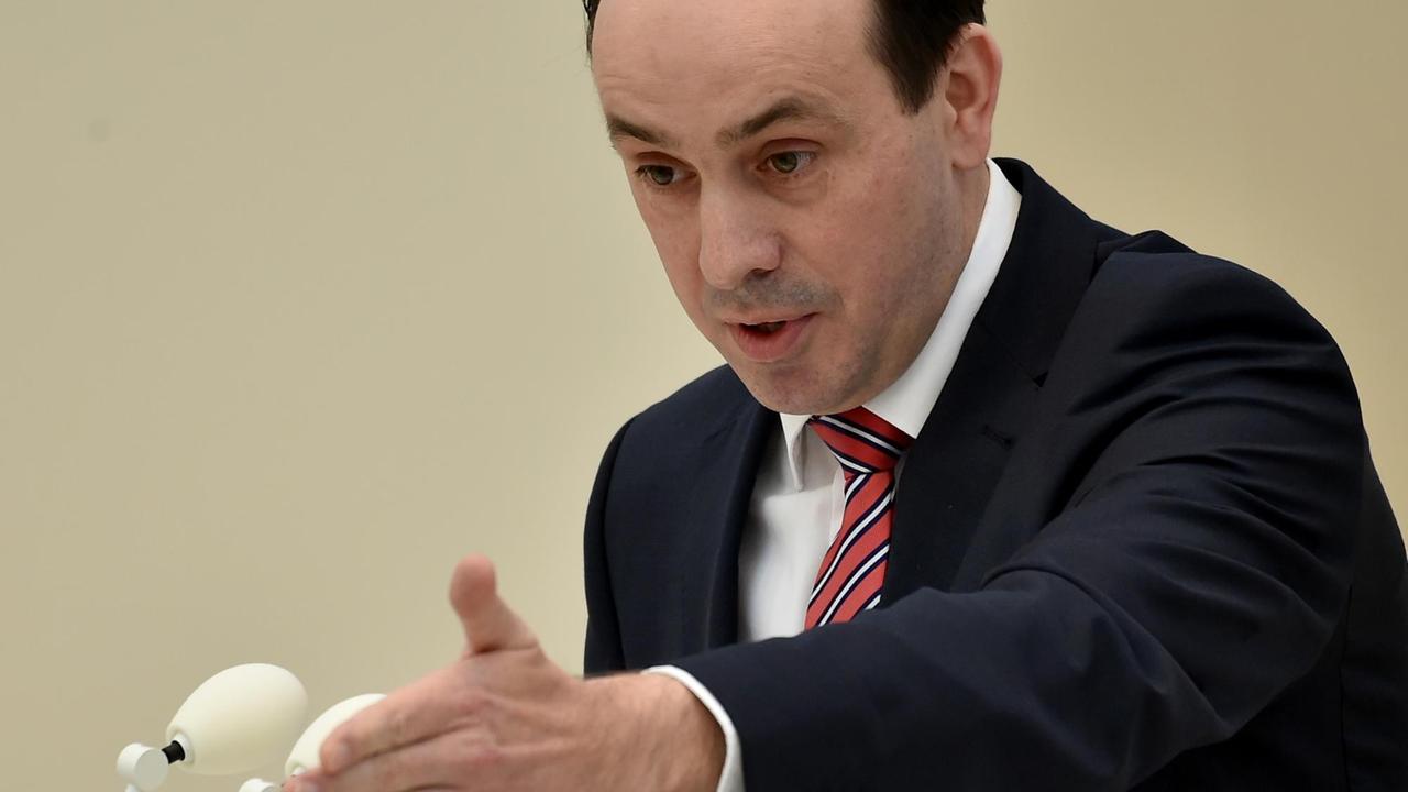 Senftleben gestikuliert während einer Rede. Senftleben gestikuliert während einer Rede.
