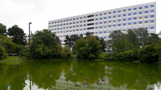 Enten schwimmen am 21.08.2014 in einem Teich vor einem Bettenhaus der Universitätsmedizin (UMG) in Göttingen (Niedersachsen).
