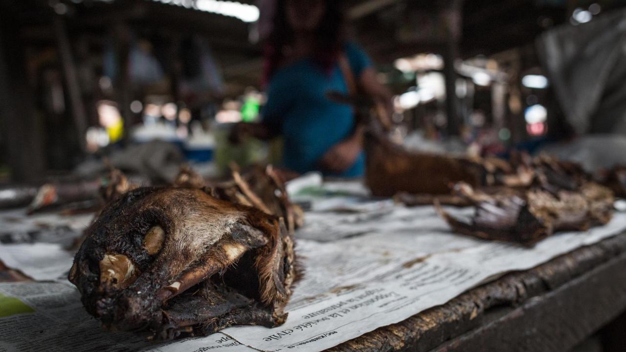 Wildtierfleisch liegt auf einem Marktstand in Brazzaville, Kongo aus. Wildtierfleisch liegt auf einem Marktstand in Brazzaville, Kongo aus.