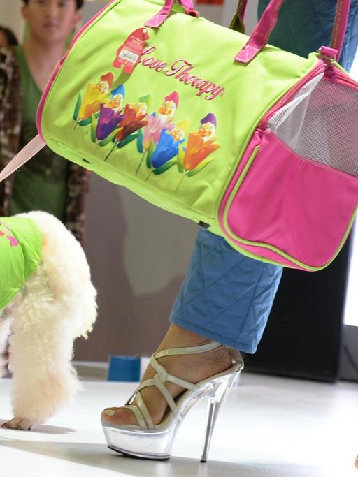 Ein Model präsentiert gemeinsam mit einem Pudel eine Tragetasche für Tiere.