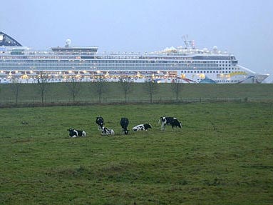 Ein Kreuzfahrtschiff aus der Meyer-Werft in Papenburg befährt die Ems in der Nähe von Leer Ein Kreuzfahrtschiff aus der Meyer-Werft in Papenburg befährt die Ems in der Nähe von Leer