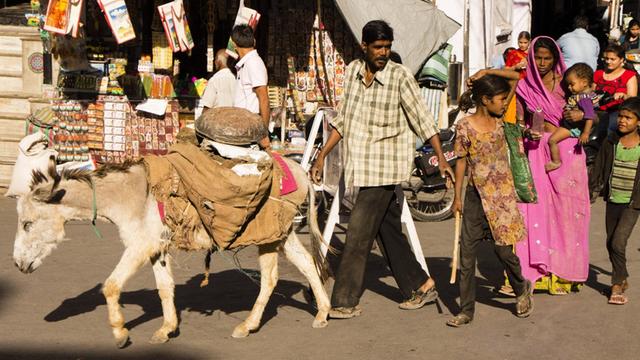 Ein Familie mit Esel, unterwegs auf einer Straße in Udaipur, Rajasthan