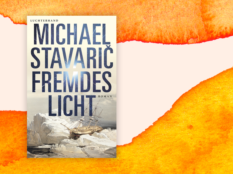 Buchcover "Fremdes Licht" von Michael Stavarič. Zu sehen ist eine grafische Darstellung eines alten Holzschiffes, das zwischen Eisschollen eingeklemmt ist.