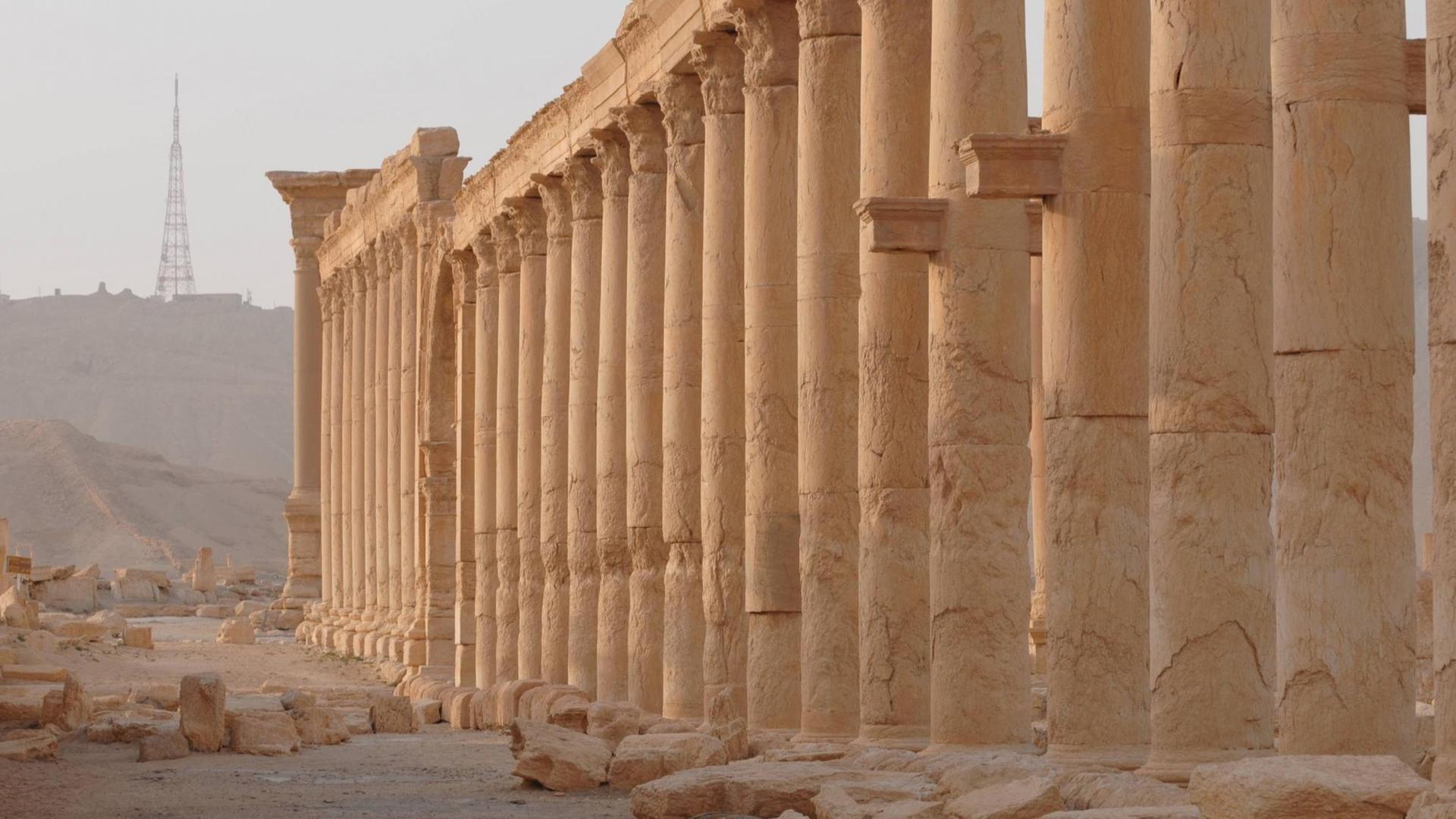 Die antike Oasenstadt Palmyra - der IS rückt näher an das Welterbe heran. Die antike Oasenstadt Palmyra - der IS rückt näher an das Welterbe heran.