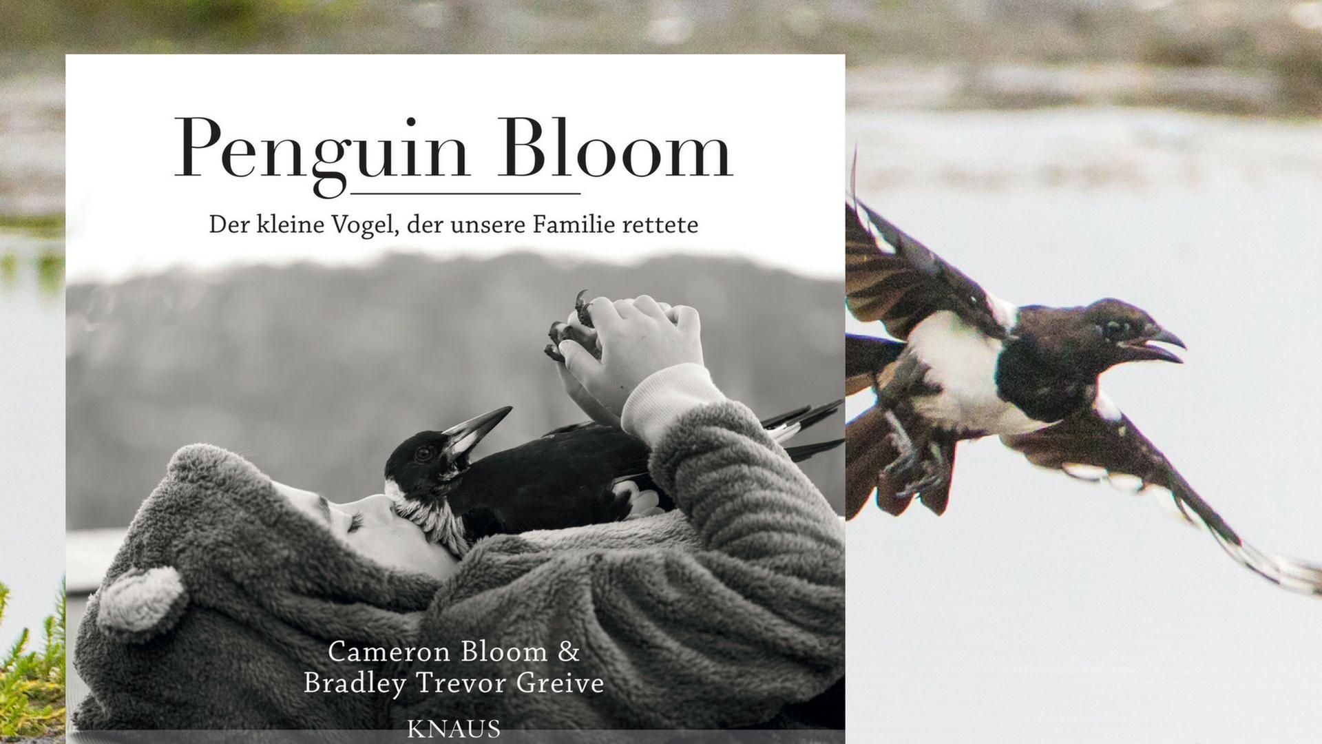 "Penguin Bloom" - In diesem Buch werden Tierfotografien und Text sinnstiftend miteinander verbunden. "Penguin Bloom" - In diesem Buch werden Tierfotografien und Text sinnstiftend miteinander verbunden.