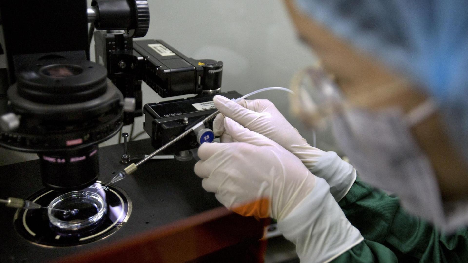 Ein mit Mund- und Kopfschutz verhüllter Wissenschaftler bringt mit einer Pipette Flüssigkeit in eine Petrischale. Das geschieht unter dem Objekt einer Kamera. Ein mit Mund- und Kopfschutz verhüllter Wissenschaftler bringt mit einer Pipette Flüssigkeit in eine Petrischale. Das geschieht unter dem Objekt einer Kamera.