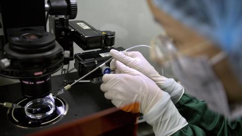 Ein mit Mund- und Kopfschutz verhüllter Wissenschaftler bringt mit einer Pipette Flüssigkeit in eine Petrischale. Das geschieht unter dem Objekt einer Kamera.