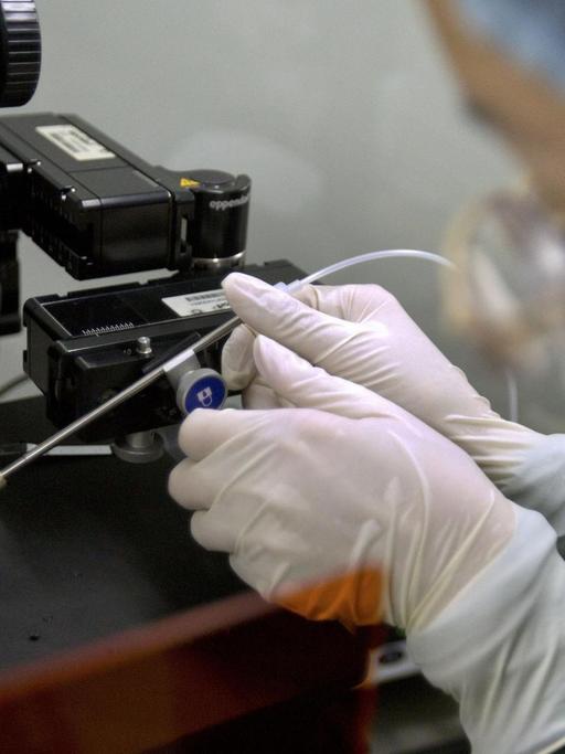 Ein mit Mund- und Kopfschutz verhüllter Wissenschaftler bringt mit einer Pipette Flüssigkeit in eine Petrischale. Das geschieht unter dem Objekt einer Kamera.