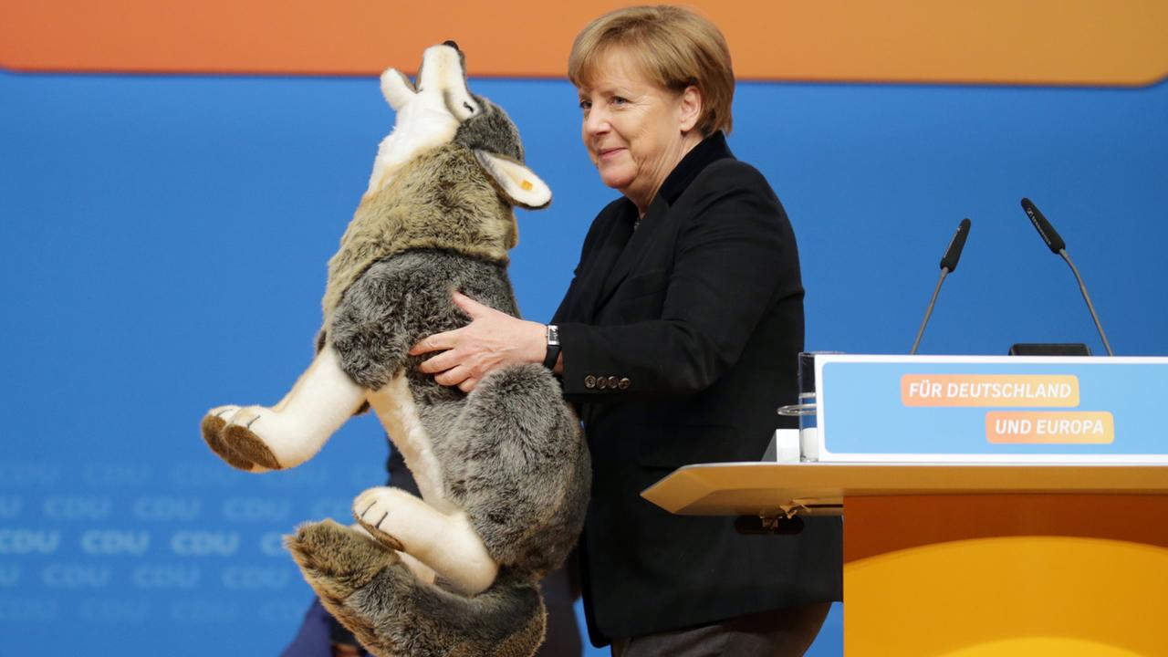 Die CDU-Bundesvorsitzende und Bundeskanzlerin Angela Merkel hält am 14.12.2015 in Karlsruhe beim CDU-Bundesparteitag einen Plüschwolf in der Hand. Die CDU-Bundesvorsitzende und Bundeskanzlerin Angela Merkel hält am 14.12.2015 in Karlsruhe beim CDU-Bundesparteitag einen Plüschwolf in der Hand.