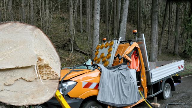 Ein zerstörtes Fahrzeug der Straßenmeisterei in Montabaur, auf das ein Baum gefallen war.