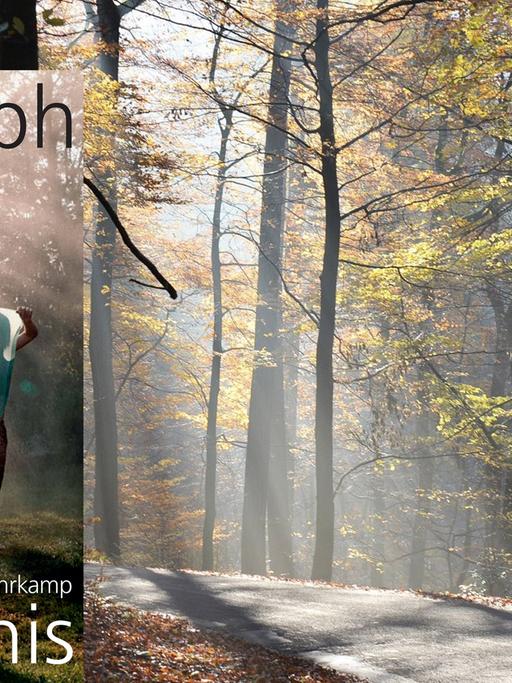 Buchcover zu Christoph Hein: "Verwirrnis"