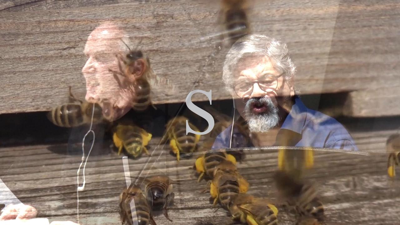 Leider liegt für dieses Bild keine Bildbeschreibung vor Leider liegt für dieses Bild keine Bildbeschreibung vor