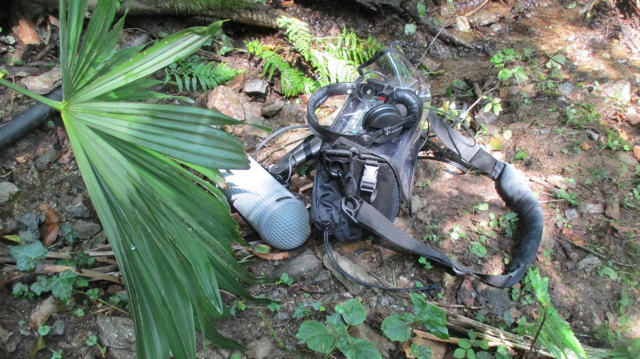 Ein an einem Rinnsal platziertes Mikrofon: Aufnahme der Wasserläufe im Gelände oberhalb des Hauses Ein an einem Rinnsal platziertes Mikrofon: Aufnahme der Wasserläufe im Gelände oberhalb des Hauses