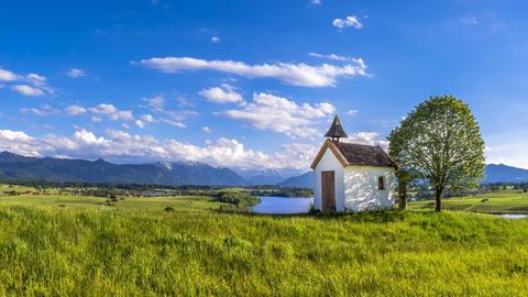 Einen kleine, weiße Kirche steht am Ufer eines kleinen Gewässers neben einem großen Baum, dahinter die Alpenzüge am Horizont.