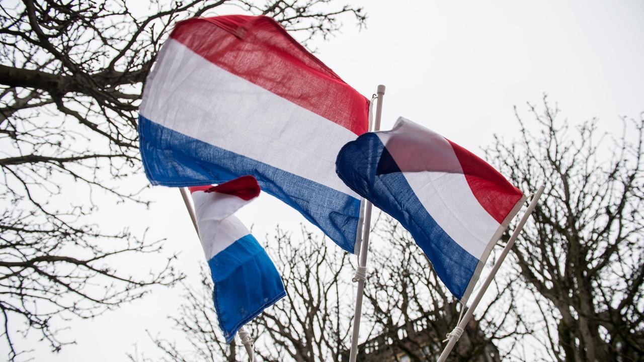 Niederländische Flaggen in Den Haag 