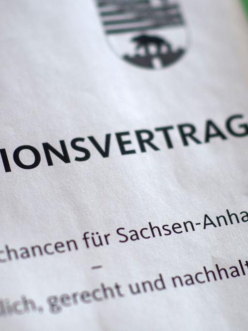 CDU, SPD und Grüne stimmen für den Koalitionsvertrag in Sachsen-Anhalt
